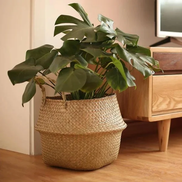 Straw Weaving Flower Plant Pot - Image 5