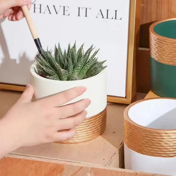 Ceramics Durable Ceramic Succulent Pot