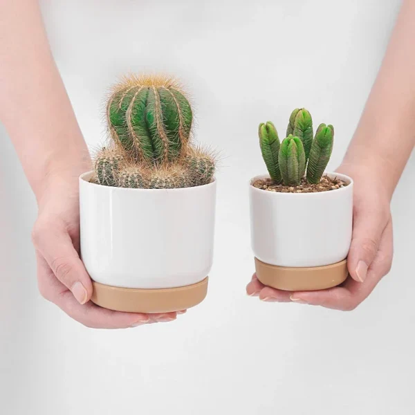 Small White Plastic Planter Mini Flower Containers - Image 2