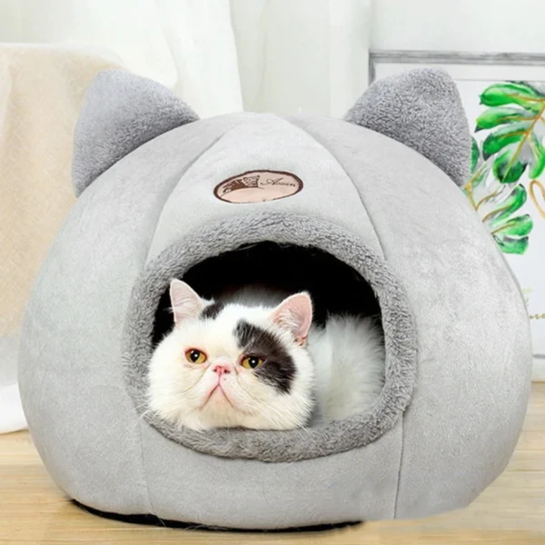 Small Dog House