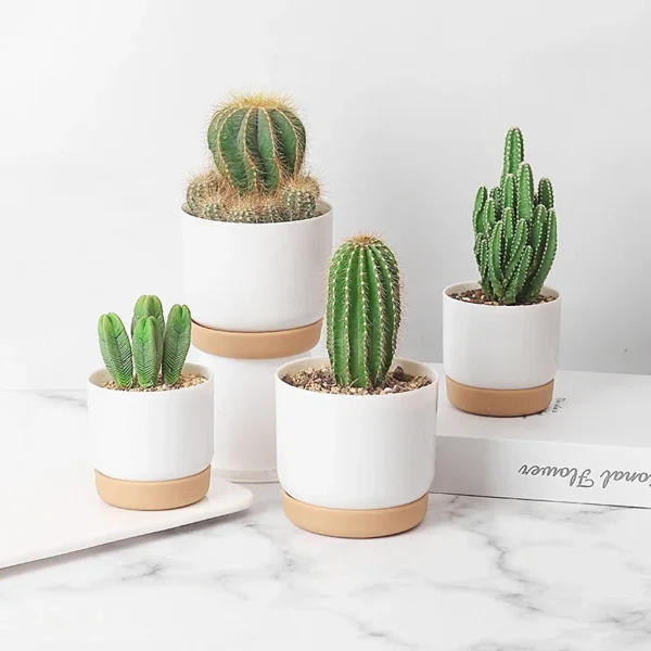 Small White Plastic Planter Mini Flower Containers - Image 4
